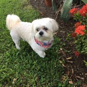 Meet your Posher, Pamela